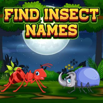 Find Insect Names
