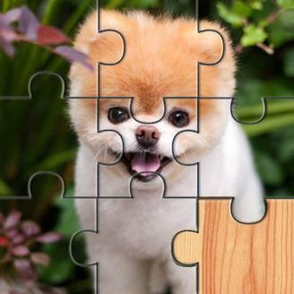 Cute Dogs Jigsaw Puzlle