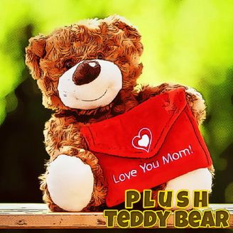 Plush Teddy Bear