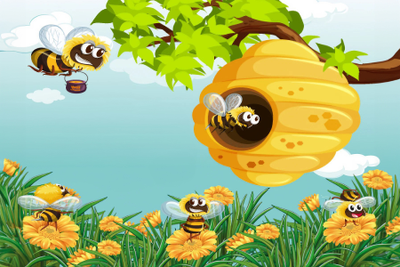 Honey Collector Bee